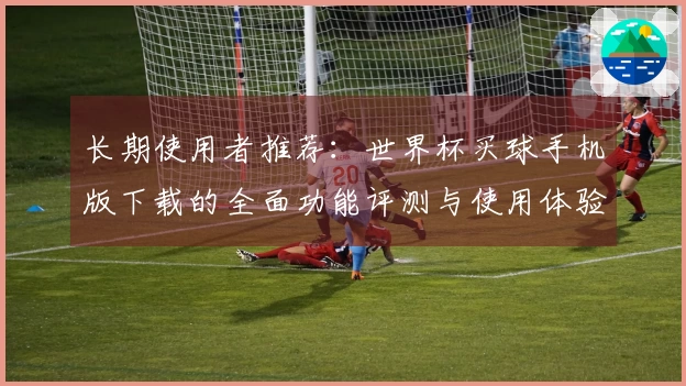 长期使用者推荐：世界杯买球手机版下载的全面功能评测与使用体验分享