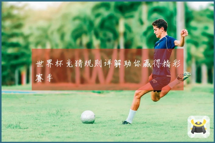 世界杯竞猜规则详解助你赢得精彩赛季