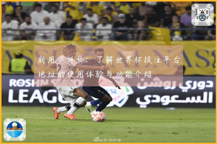 新用户评价:了解世界杯投注平台地址的使用体验与功能介绍