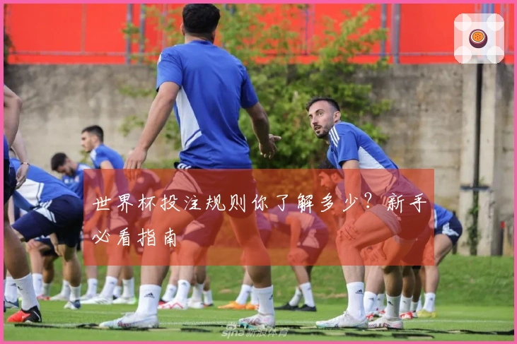 世界杯投注规则你了解多少？新手必看指南