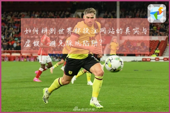 如何辨别世界杯投注网站的真实与虚假,避免踩坑陷阱?