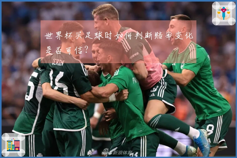 世界杯买足球时如何判断赔率变化是否可信?