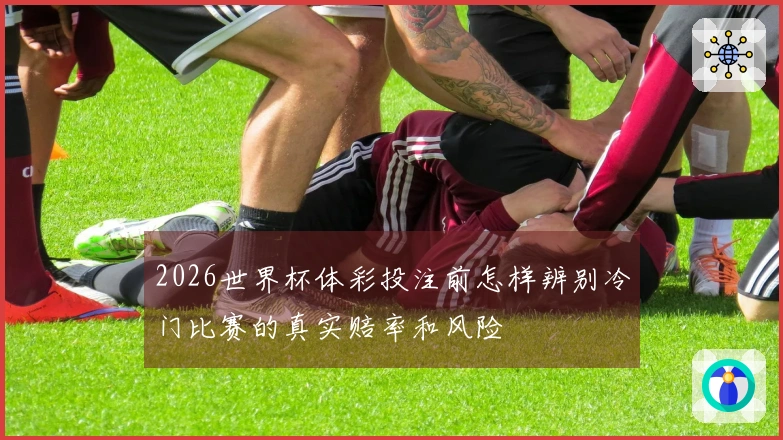 2026世界杯体彩投注前怎样辨别冷门比赛的真实赔率和风险
