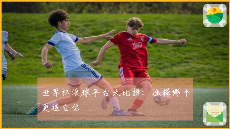 世界杯滚球平台大比拼：选择哪个更适合你